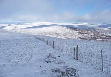 Skiddaw - The Northeastern Prospect