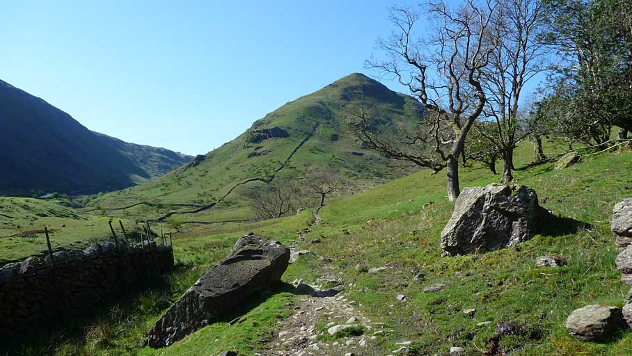 Middle Dodd
