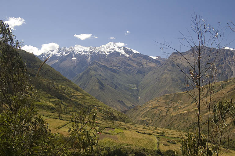 Padrayoc