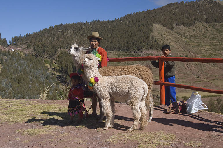 Roadside Traders and Their Animals